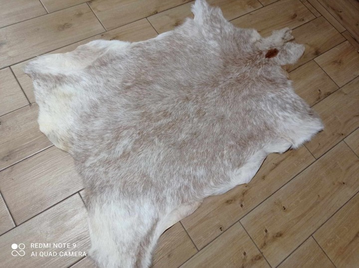 462642952_889266280048066_3926047803241354303_n