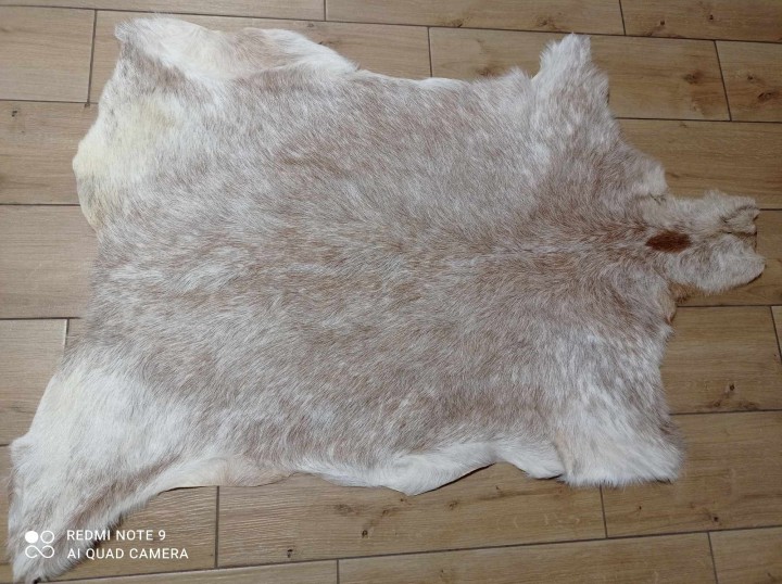 467480780_469328809511412_1975010880342473882_n