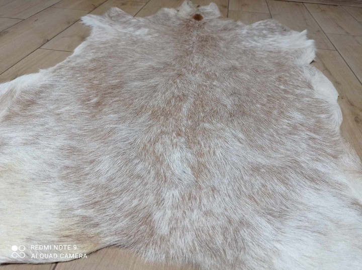 462561471_1740201643497204_8811166563488415588_n