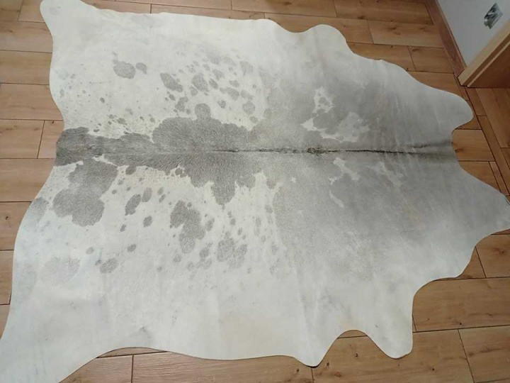 473141797_637960561903735_7562285637187187031_n