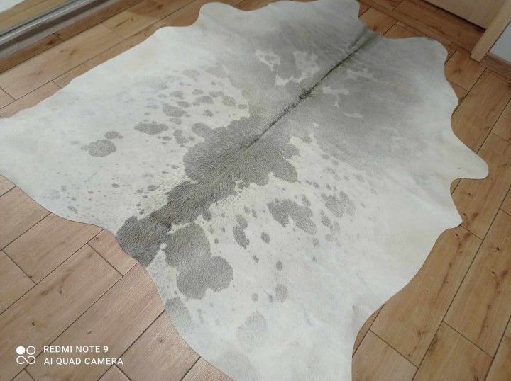 470053610_8905845096159785_3160227766566820232_n