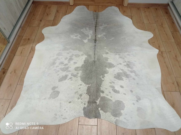 472849508_606611938413113_6286904499797690591_n