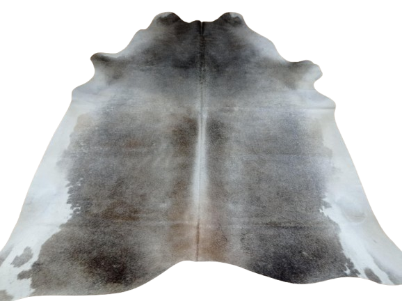 f60b540f-f135-4d95-bb72-5f99ddbd1c7e-removebg-preview