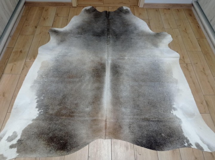 f60b540f-f135-4d95-bb72-5f99ddbd1c7e