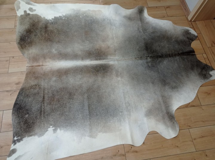 64972103-13b1-4e4a-812e-8fc873742c09