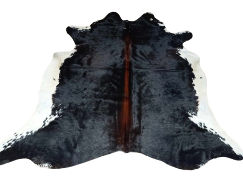 475786656_1428289114814122_8883937069820464814_n-removebg-preview