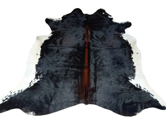 475786656_1428289114814122_8883937069820464814_n-removebg-preview