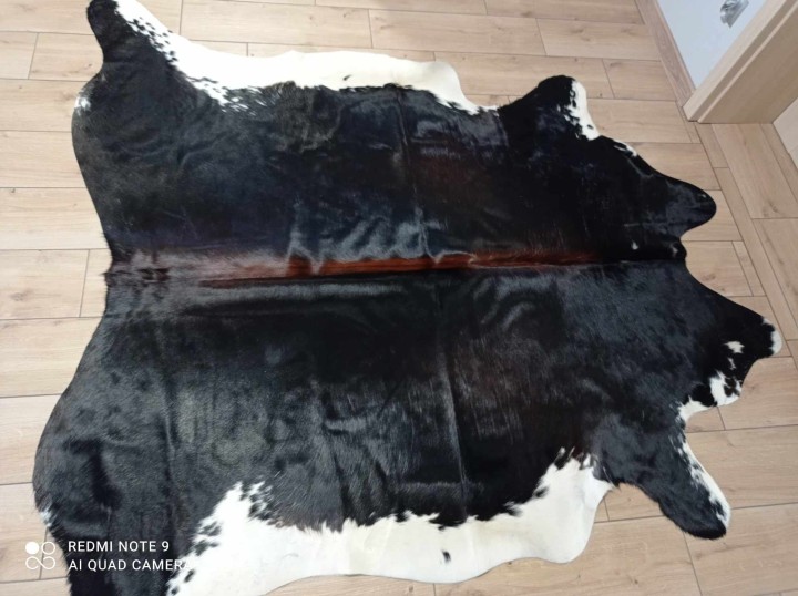 476228280_949771683930161_2232450535856748522_n