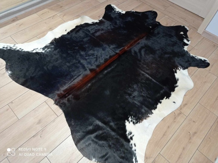 475716496_669144008781818_2966987602549987613_n