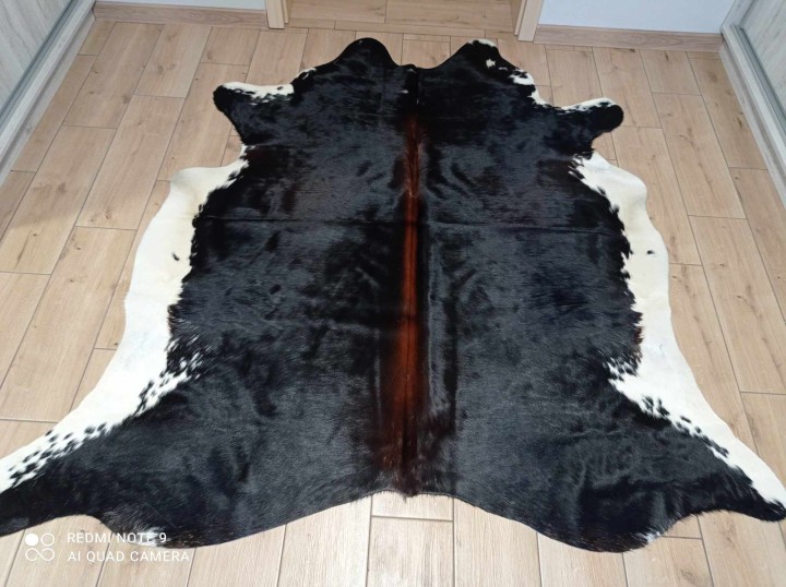 475786656_1428289114814122_8883937069820464814_n