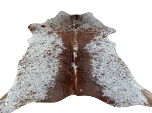 476281793_1094402859038110_2938804288002042848_n-removebg-preview