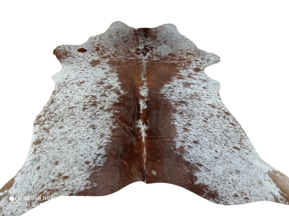 476281793_1094402859038110_2938804288002042848_n-removebg-preview