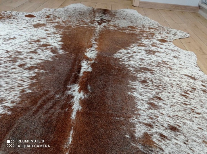 475768834_634392552304787_6952445284732310358_n