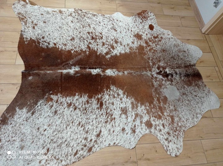 476591926_1404794507153900_7380691627234504224_n