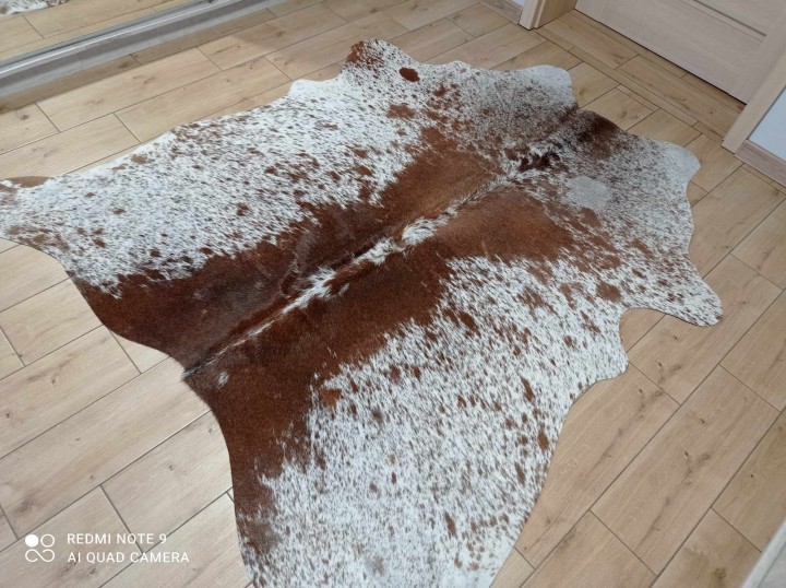 476563707_1124345652344357_2280066576006148632_n