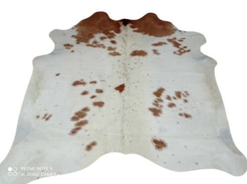 477050629_589810527205974_1546101192091934344_n-removebg-preview