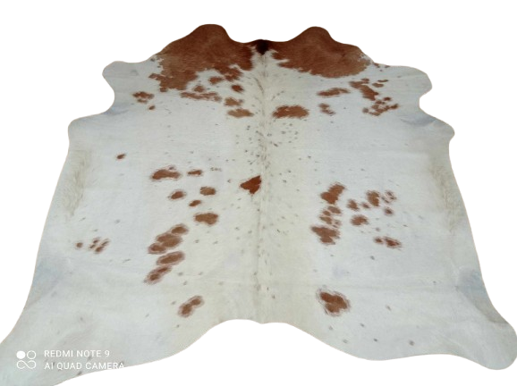 477050629_589810527205974_1546101192091934344_n-removebg-preview