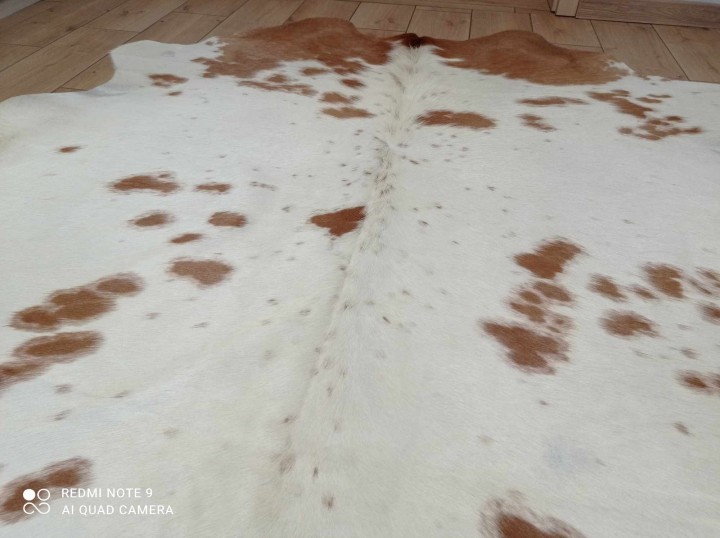 476561177_608528641922954_1315232701872588626_n