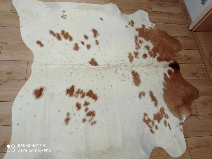 475746556_8280343628735982_3329083717907397527_n