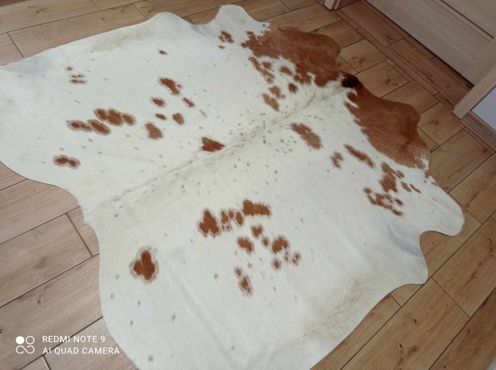 476053136_1138789304139486_8297626032527930158_n