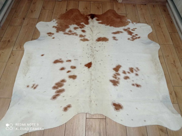 477050629_589810527205974_1546101192091934344_n