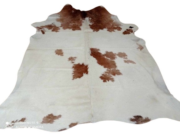 482570737_1368455854072074_5983977811598244419_n-removebg-preview