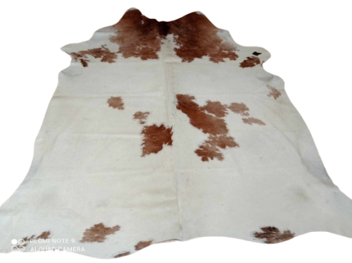 482570737_1368455854072074_5983977811598244419_n-removebg-preview