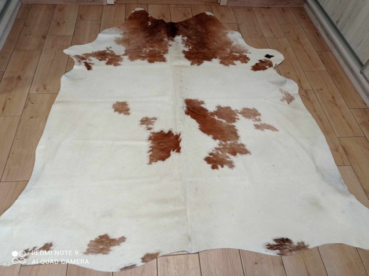 482570737_1368455854072074_5983977811598244419_n