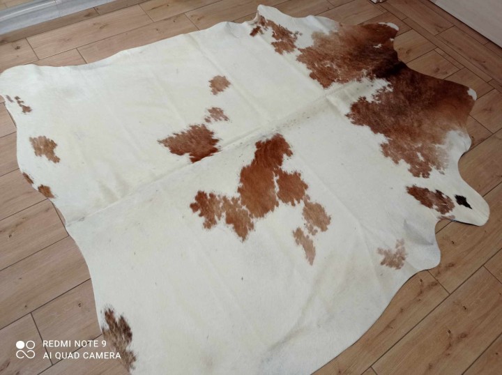 483288077_1886063345555380_5450848313996491670_n