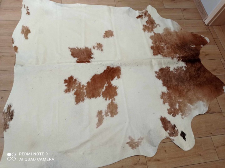 482581776_677277698158744_6145053279172548993_n