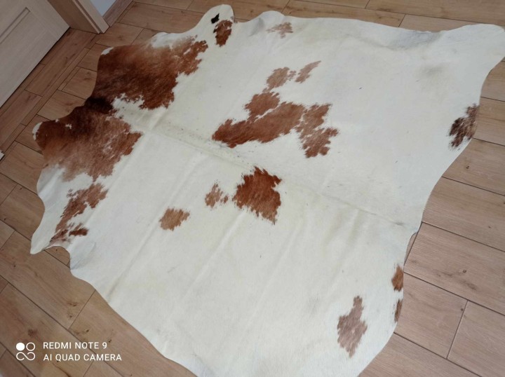 483190648_1218966642898284_8921514280430204373_n