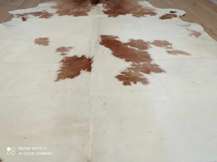 485225359_1855801118581573_6545592332059945465_n