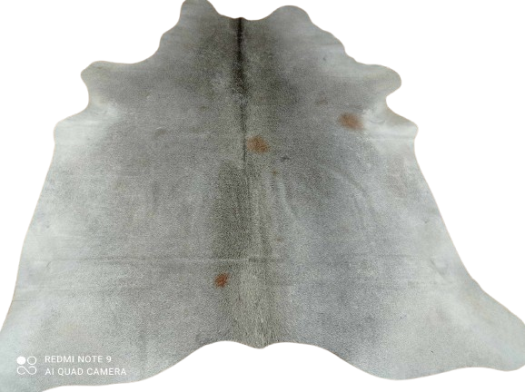 462649326_641747941851721_6207673761835295277_n-removebg-preview