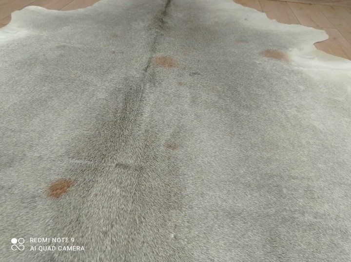 462647708_923436979559536_288124829728095161_n