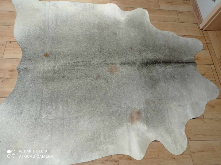 467481639_578908554875978_1529645884372294114_n