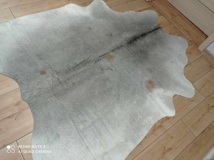 462645637_1313285369867151_4669570876470424286_n