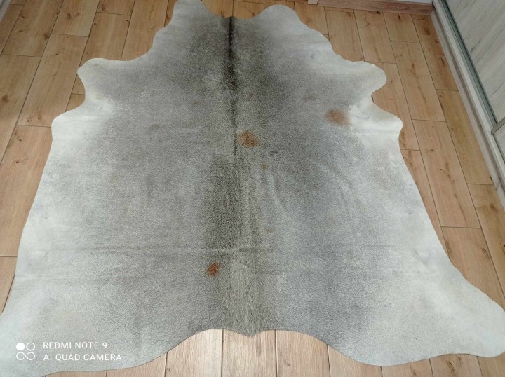 462649326_641747941851721_6207673761835295277_n