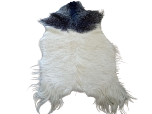 3ef95df4-18d4-4d12-bcde-d128b9ee6ce3-removebg-preview