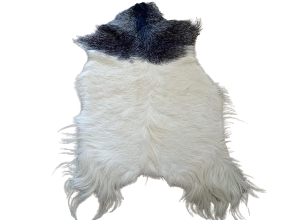 3ef95df4-18d4-4d12-bcde-d128b9ee6ce3-removebg-preview