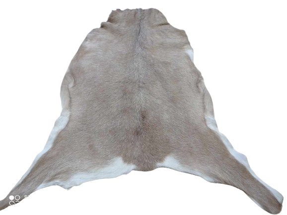 5833